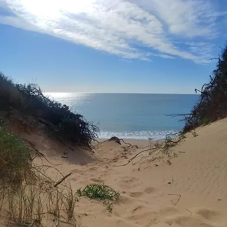 Playa De Punta Candor Apartamento